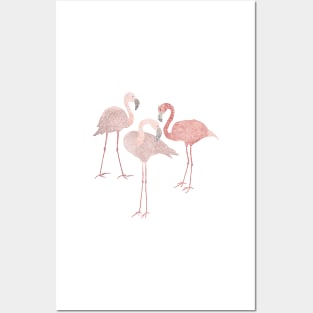 Three pink flamingos on navy blue Posters and Art